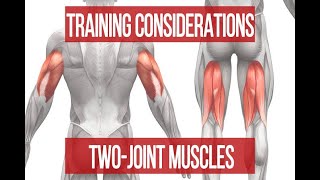Two Joint muscles | kinesiology and biomechanics | BPEd Two Joint Muscles