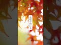 17.復縁伝えるときに必ず言ったほうが良い言葉