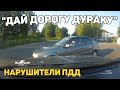 Автоподборка &quot;Дай Дорогу Дураку&quot;🛑Нарушители ПДД#278