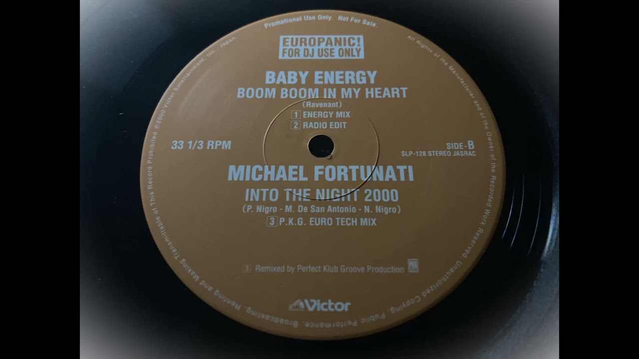 Into The Night 2000 (P.K.G. Euro Tech Mix) / Michael Fortunati