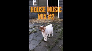 House Music Mix - Adis-T #2