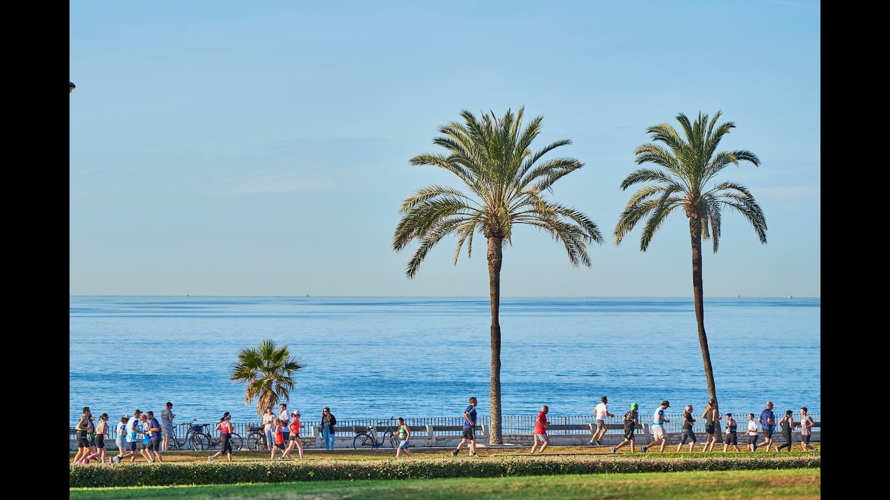 TUI PALMA MARATHON MALLORCA 2024 review