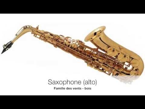 Vidéo: Quelles sont les caractéristiques dynamiques des instruments ?