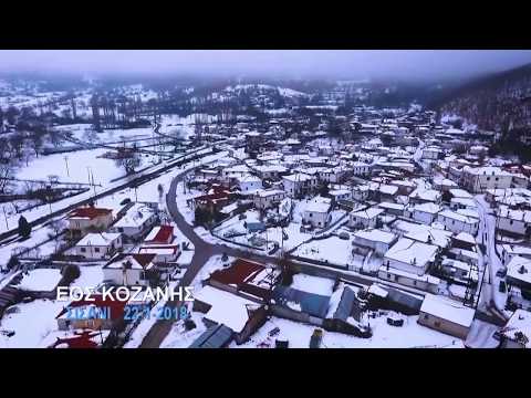 ΕΟΣ ΚΟΖΑΝΗΣ ΒΛΑΣΤΗ