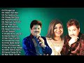 Hindi melody songs  superhit hindi song  kumar sanu alka yagnik  udit narayan 