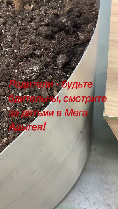 Ашан. Опасные, острые горшки с деревьями. Дети! Внимание!!! Скамейки ...
