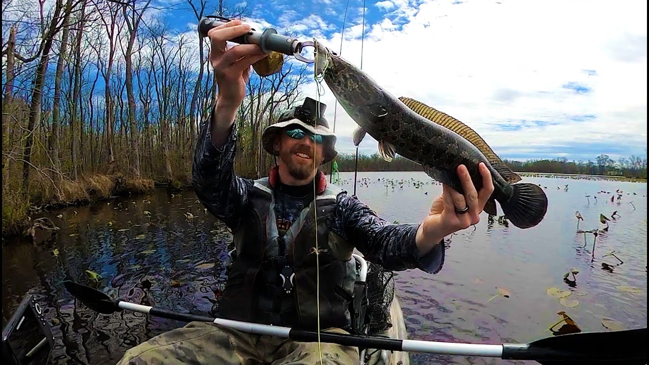 TOPWATER MADNESS: Snakehead and Bass Prespawn Fishing on Maryland's Eastern Shore