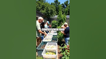 Innovative Environmental Practices for a Sustainable Future