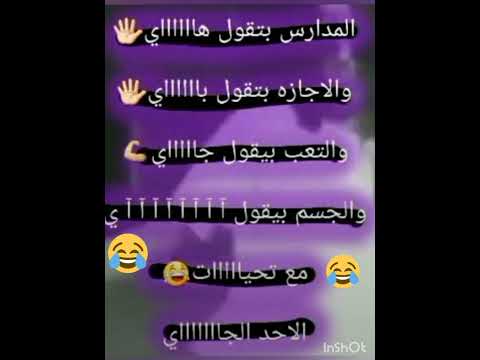 إجازة بقول باي اما المدارس