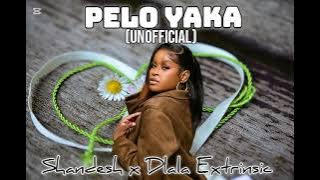 🔥 Pelo Yaka (Unofficial) – Shandesh x Dlala Extrinsic 🔥