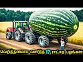 மிகப்பெரிய பழங்கள் மற்றும் காய்கறிகள்! | Biggest fruits &amp; Vegetables Ever Created | Tamil Ultimate