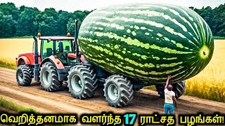 மிகப்பெரிய பழங்கள் மற்றும் காய்கறிகள்! | Biggest fruits &amp; Vegetables Ever Created | Tamil Ultimate