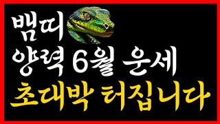 [2024년 6월뱀띠 운세] 성공할 길운이 가득합니다! (종합운/재물운/애정운/직업운/건강운) #뱀띠운세 #6월운세 #월별운세