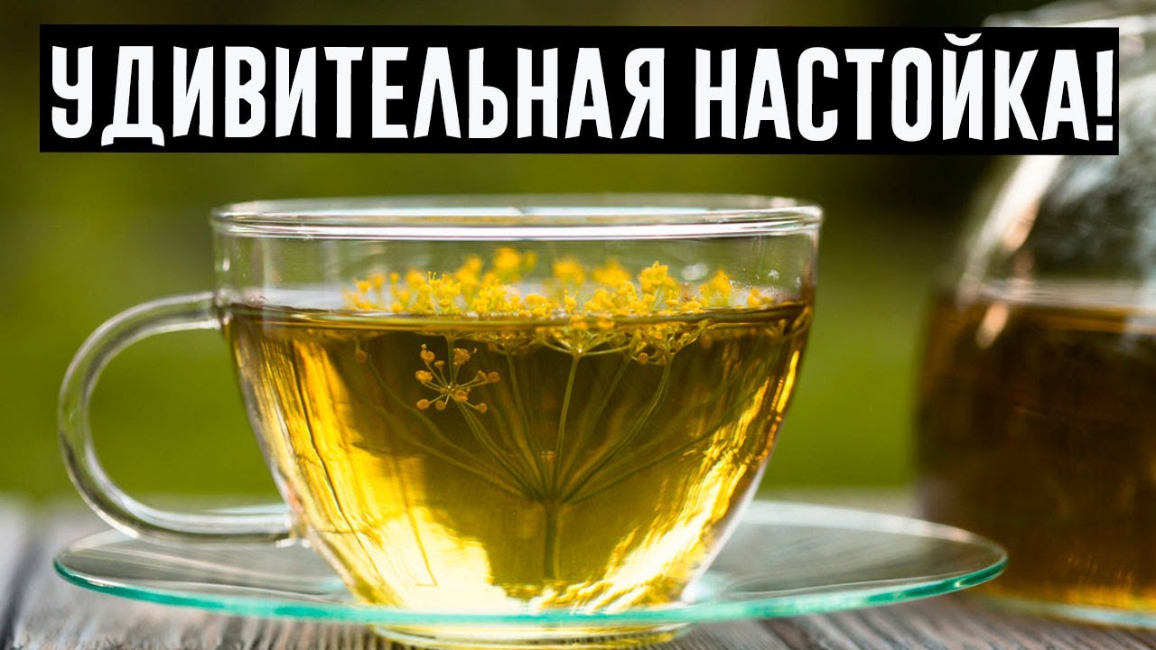 Rezene чай. семена фенхеля чай. семена укропа настой. настой из трав. чай из семян (фенхель, анис, амарант и пр.