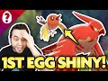 MY LUCKIEST EGG EVER!? FIRST EGG SHINY!!