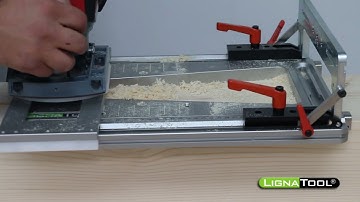 Lignatool® verdeckter Schwalbenschwanz #shorts