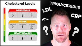 A Guide To Understanding Cholesterol