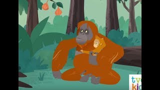 Wild Kratts Archerfish School