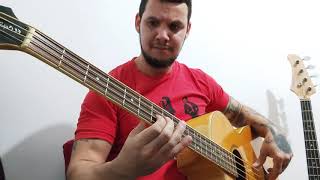 Gustavo Borges - Ride On A Pony ( Free - bass Cover )