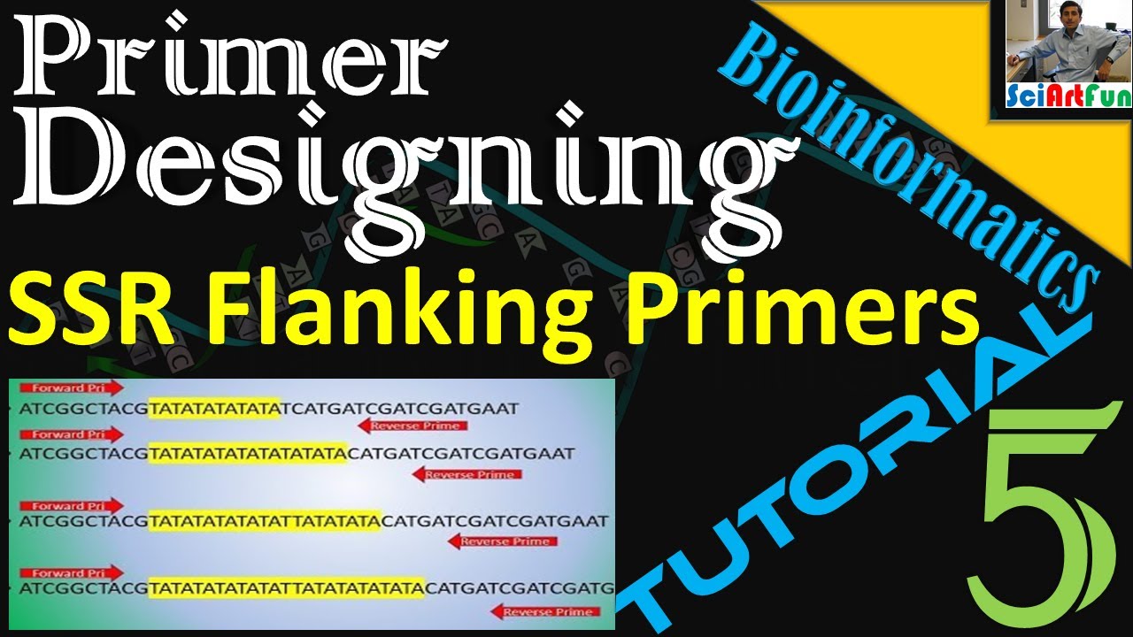 Primer Designing SSR Flanking Primers With BatchPrimer3 Tutorial 5