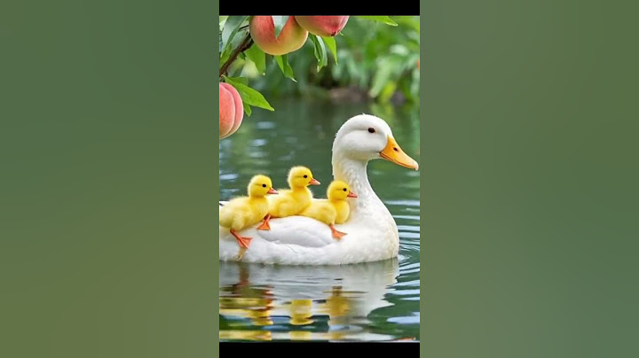 "This animal just made my day! 😂🐾"#funnyanimals  #cutepets  #animalvideos   #viralvideo
