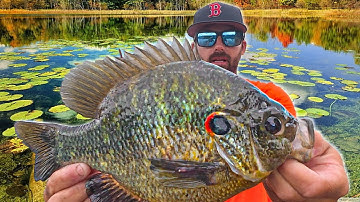 Found a SECRET LAKE with ONLY GIANTS.... Biggest REDEAR *Shellcrackers* We