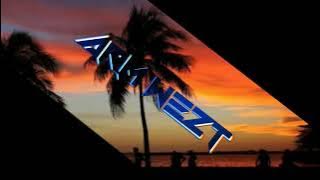 Lagu Acara Tik Tok Remix Terbaru 2021| FIRE DOWN - [ by. Andi Arfck ]