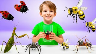 Download Lagu Insecten Komen Tot Leven! Kinderen Redden Het Huis van Reuzeninsecten MP3