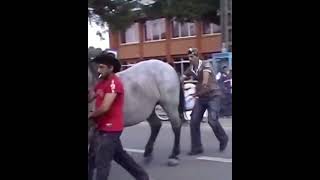 Нельзя Трогать Лошадь