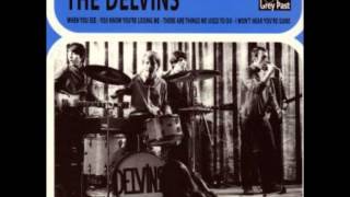 The Delvins - When You See