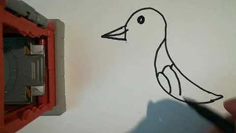 Jak vypadá obrázek psů?