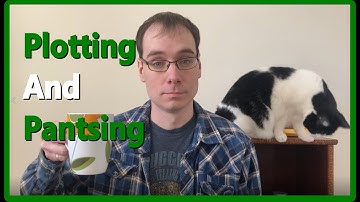 Plotting vs Pantsing | Novel Writing Advice