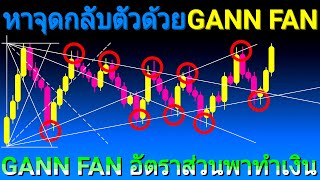 สอนเทรดกราฟเปล่าด้วย Gann Fan หาจุดกลับตัวด้วยอัตราส่วนสำคัญ | สอนเทรดกราฟเปล่า