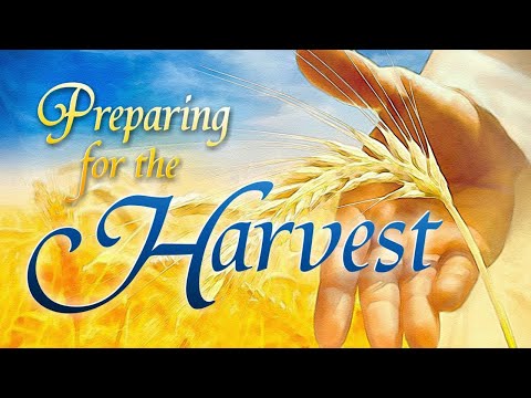 the-making-of-the-harvest-~-seeds-are-designed-to-produce-in-the-darkness!