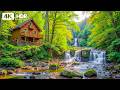 Beautiful Relaxing Music 🌿 Anxiety Relief, Stop Overthinking &amp; Deep Emotional Healing