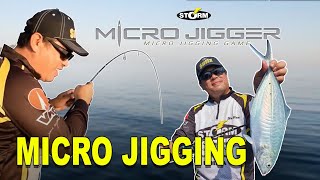 Video: Caña Storm Micro Jigger Spinning Monotramo