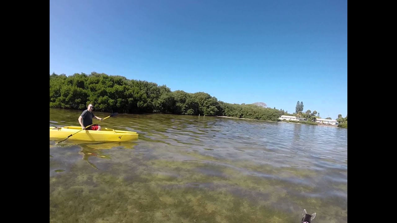 kayaking the bay at joan durante park longboat key - youtube