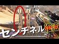 【最新アプデ】センチネル復活!! ランページ超絶弱体化。。| Apex Legends