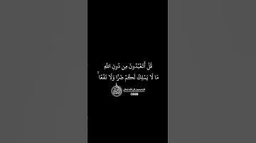 ماهر المعيقلي - سورة المائدة ( برواية حفص عن عاصم ) الأية 76