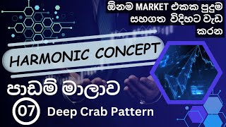 Harmonic Pattern Trading  Lesson 7 - Technical Analysis - Sinhala