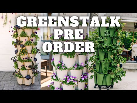 Pre Order Your