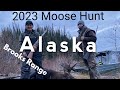 2023 alaskan moose hunt on gwichin ancestral lands
