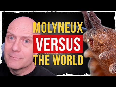 Video: Molyneux: Nemůžeme Použít Zvědavost Kvůli NASA