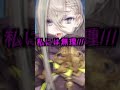 X(Twitter)で130万再生されたFGO伝説のボイス"黒猫パンケーキ" #FGO #shorts