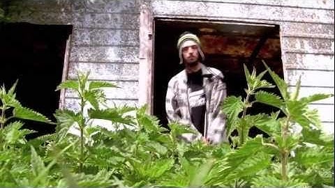 Leaf Dog - Walk With Me (HF TV SPECIAL)