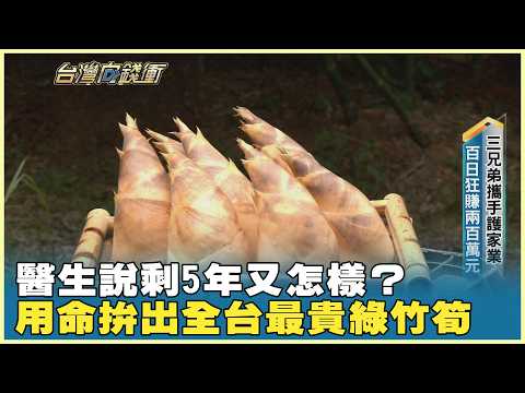 醫生說剩5年又怎樣？用命拚出全台最貴綠竹筍 20260612【台灣向錢衝】PART5