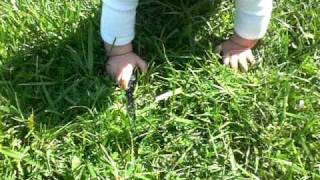 CIMG5680.AVI