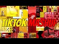 Tiktok Mashup (Not Clean) 💙💙