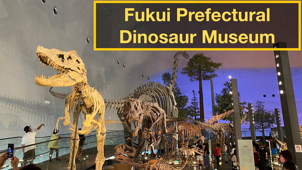 Fukui Prefectural Dinosaur Museum YouTube