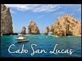 SNORKELING IN CABO SAN LUCAS NEAR PELICAN ROCK